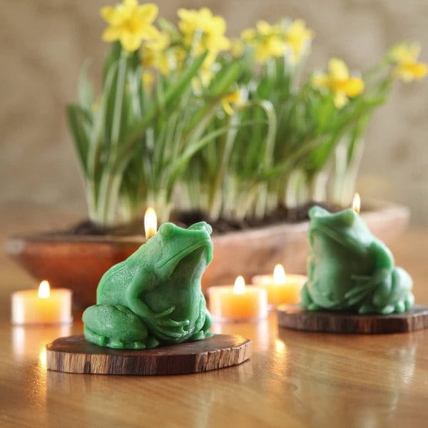 Frog Candle