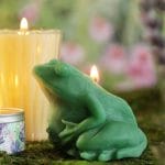 Frog Candle