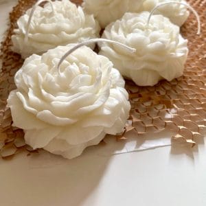 Peony Candles