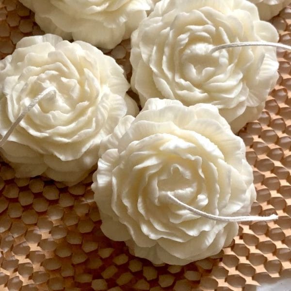 Peony Candles