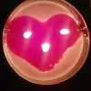 Strawberry Delight candle