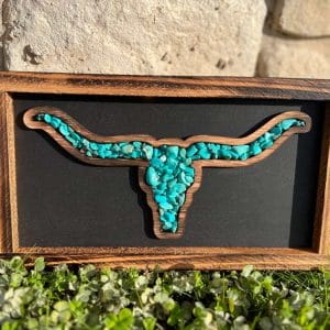Longhorn Decor