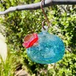 hummingbird feeder