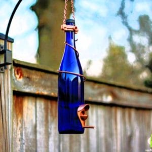 glass wine bottle bird feeder
