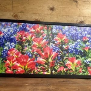 Spring Flowers by Janice M Hipsher- Wall Decor 44x22