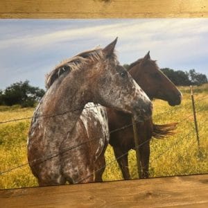 Wishful Thinking by Janice M Hipsher- Wall Decor 24x36