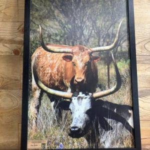 Stacked Horns by Edwin Hipsher- Wall Decor 21x31