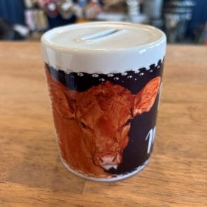 Coin Banks- Janice Hipsher